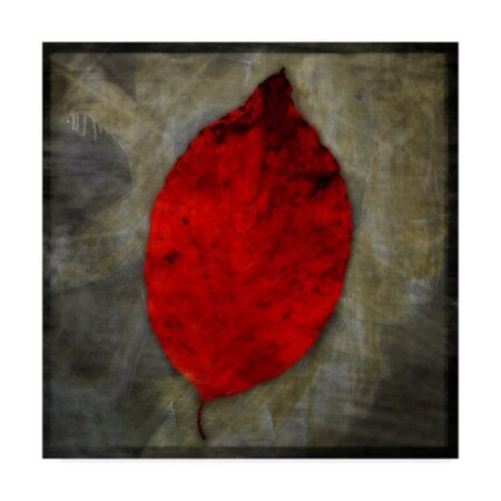 Trademark Fine Art John W. Golden 'Red Dogwood' Canvas Art, 18x18 ALI30641-C1818GG